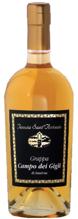 Grappa Amarone Campo dei Gigli Barrique 0.5l Grappa Amarone Campo dei Gigli Barrique 0.5l