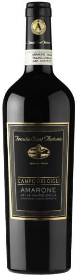 Amarone della Valpolicella DOCG Campo dei Gigli 2016 0.75l Amarone della Valpolicella DOCG Campo dei Gigli 2016 0.75l